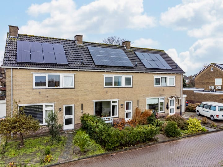 Foto 41 van Clusiuslaan 16