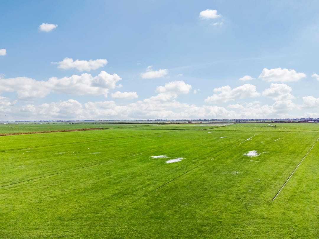 Foto 43 van Clusiuslaan 16