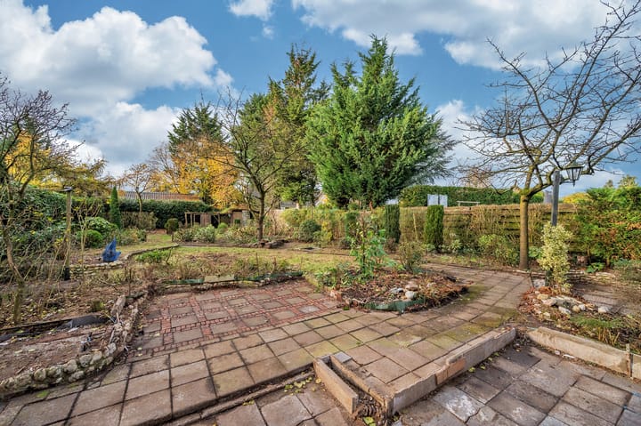 Photo 3 of Papenbeek 61