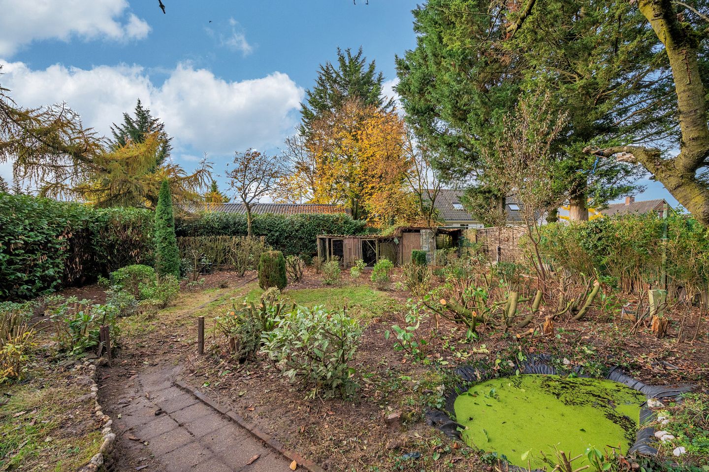 Photo 4 of Papenbeek 61