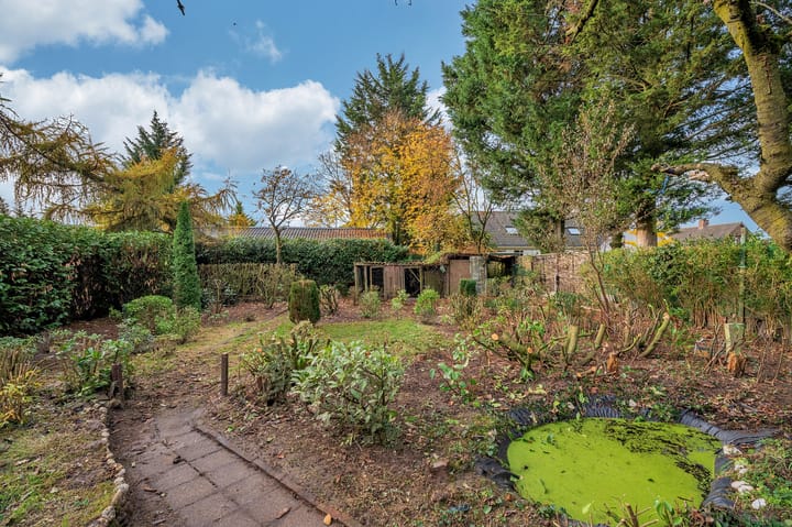 Photo 4 of Papenbeek 61