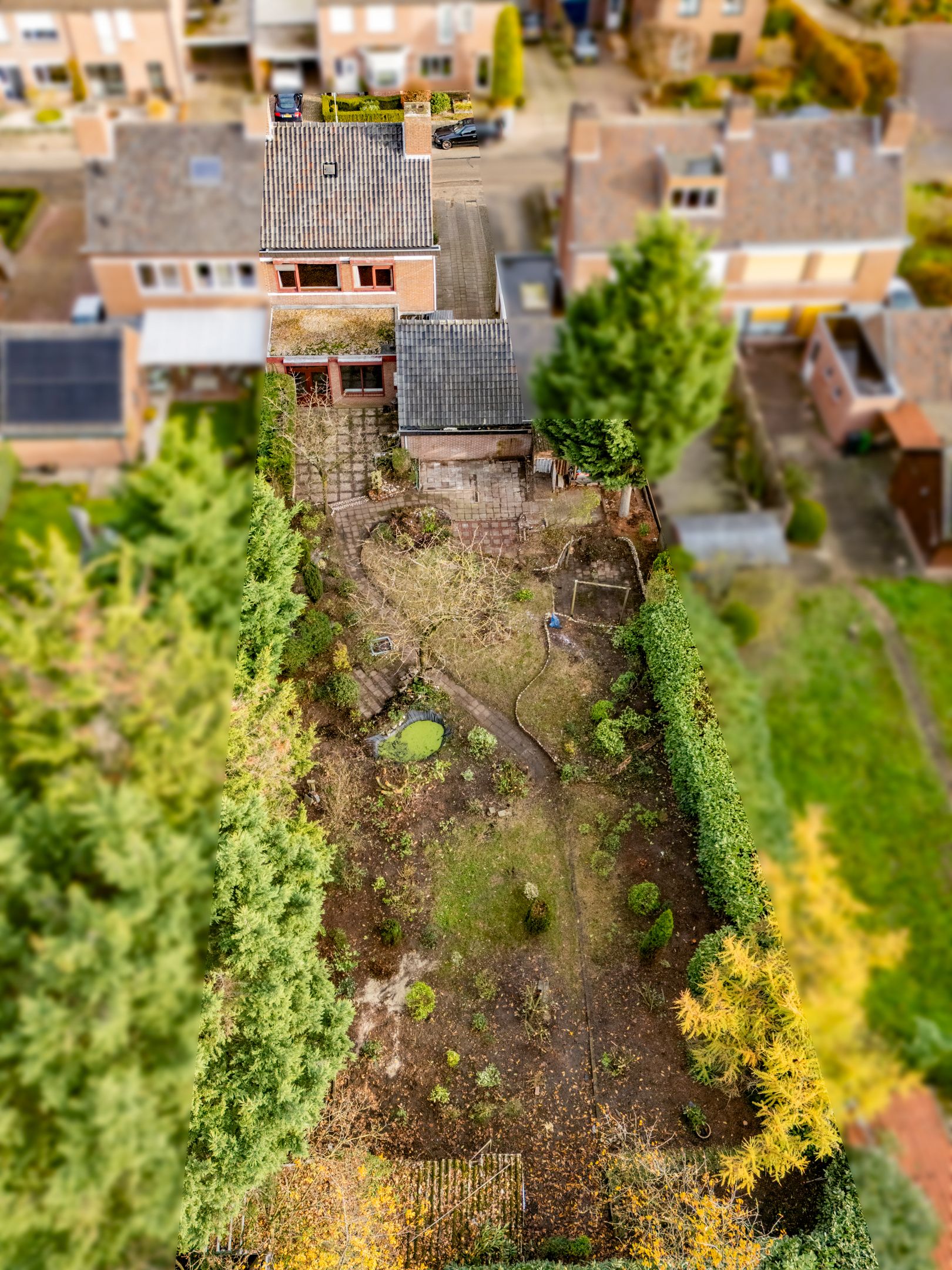 Photo 39 of Papenbeek 61