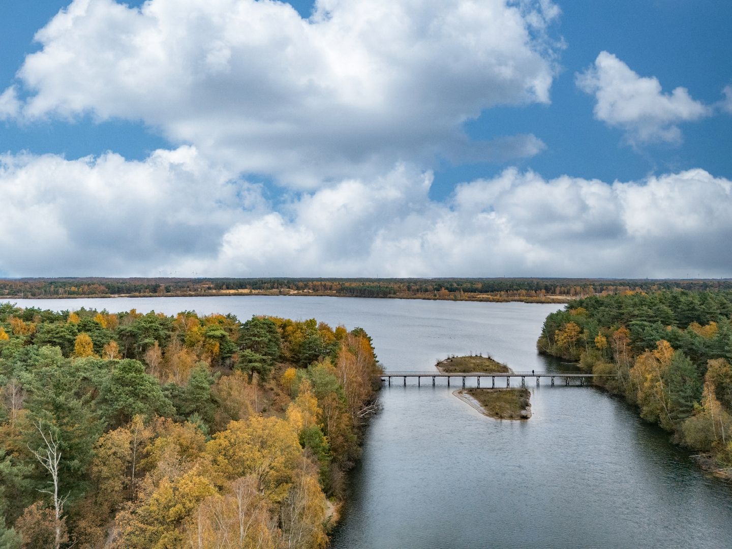 Photo 49 of Papenbeek 61