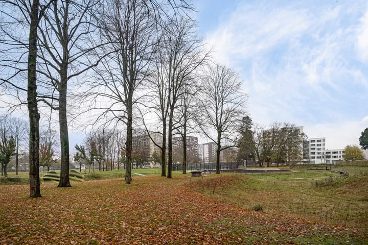 Photo 40 of Weden 16