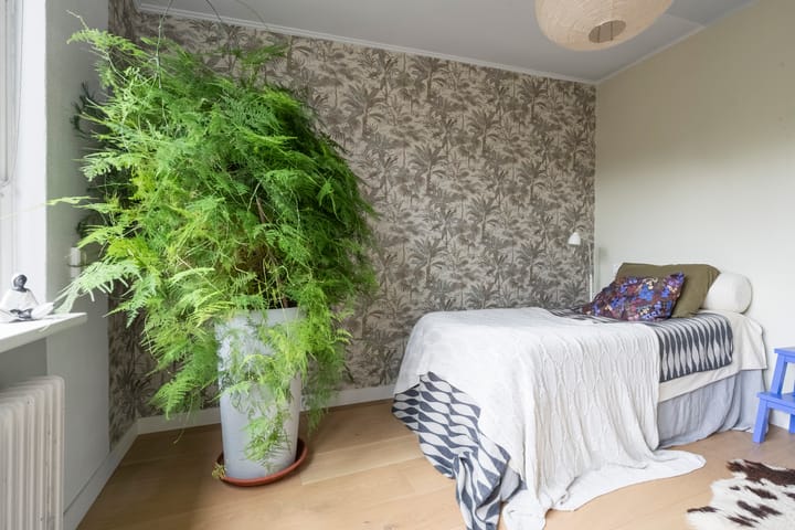 Photo 15 of Dompvloedslaan 112