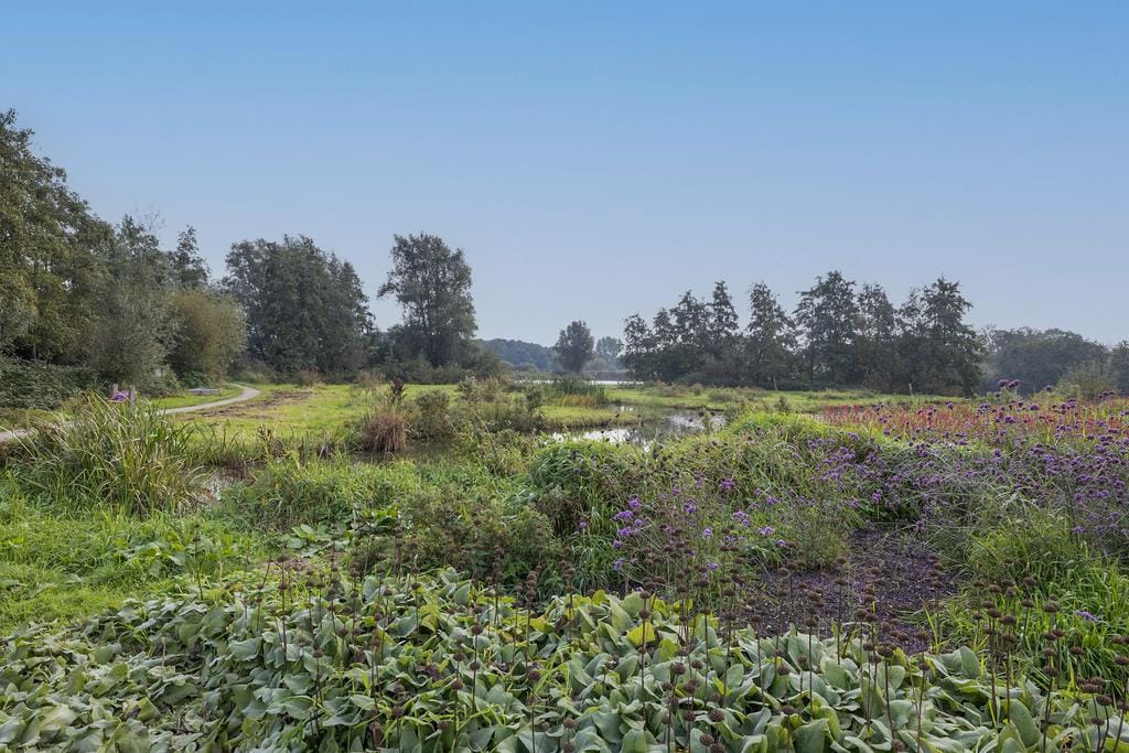 Photo 32 of Waarsmanslag 15