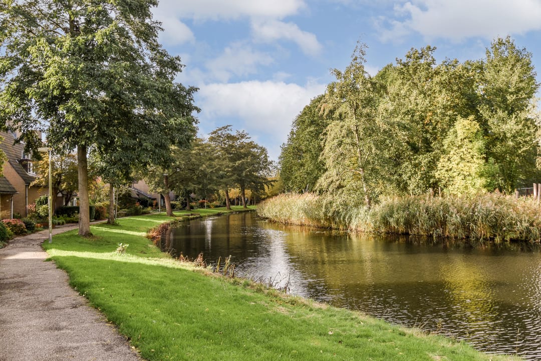 Foto 28 van Dragontuin 9