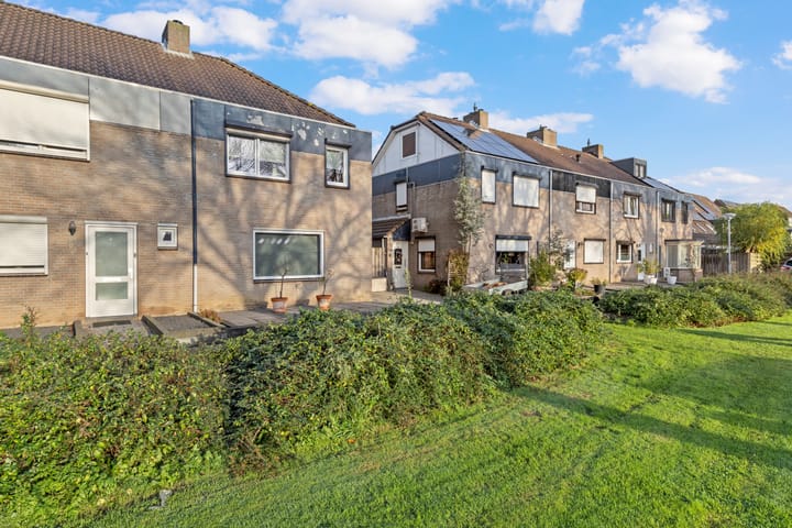 Photo 3 of Haagbeuk 25