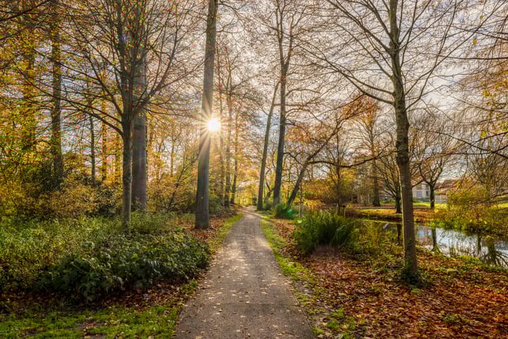 Foto 47 van Huzarenstraat 58