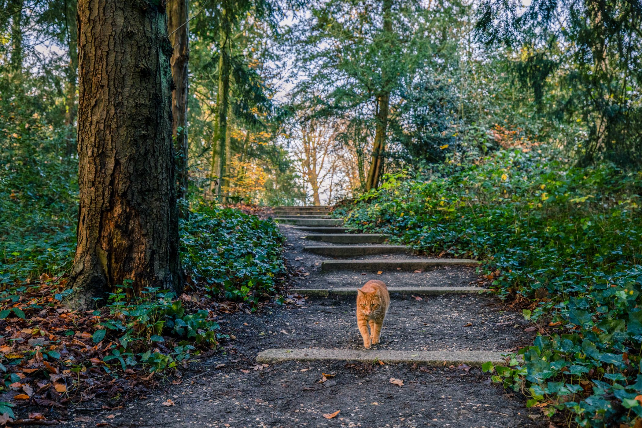 Foto 48 van Huzarenstraat 58