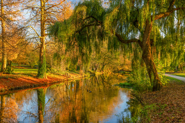 Foto 51 van Huzarenstraat 58