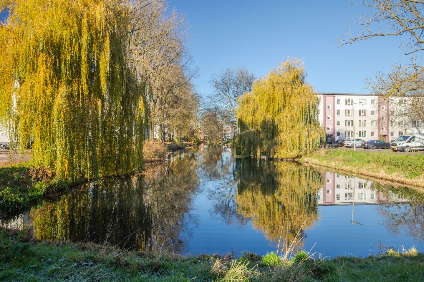 Photo 35 of Madelievenstraat 61