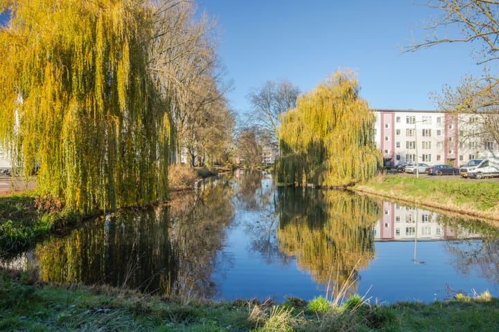 Photo 35 of Madelievenstraat 61