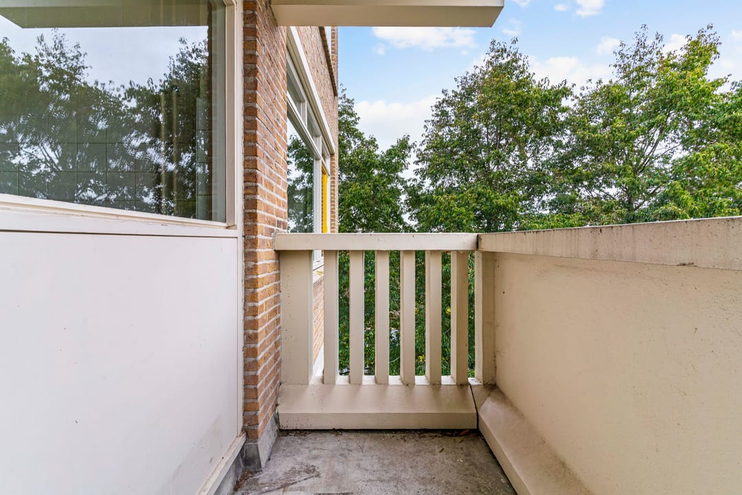 Foto 16 van Suzannaland 362