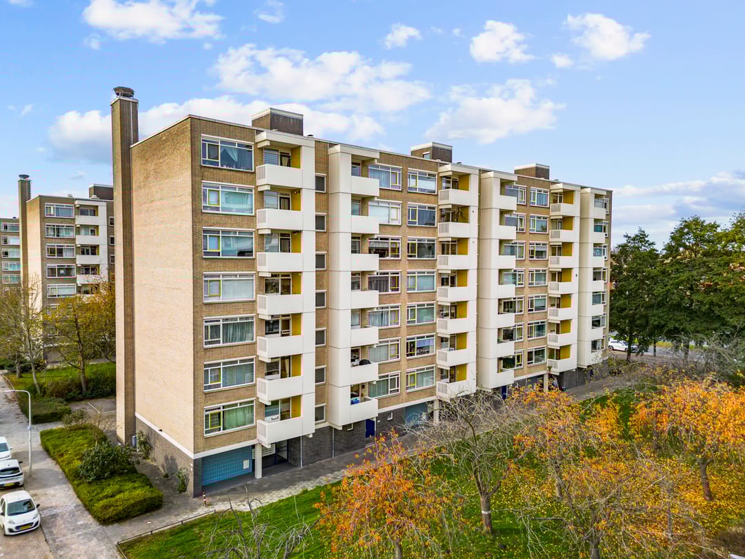 Foto 1 van Suzannaland 362