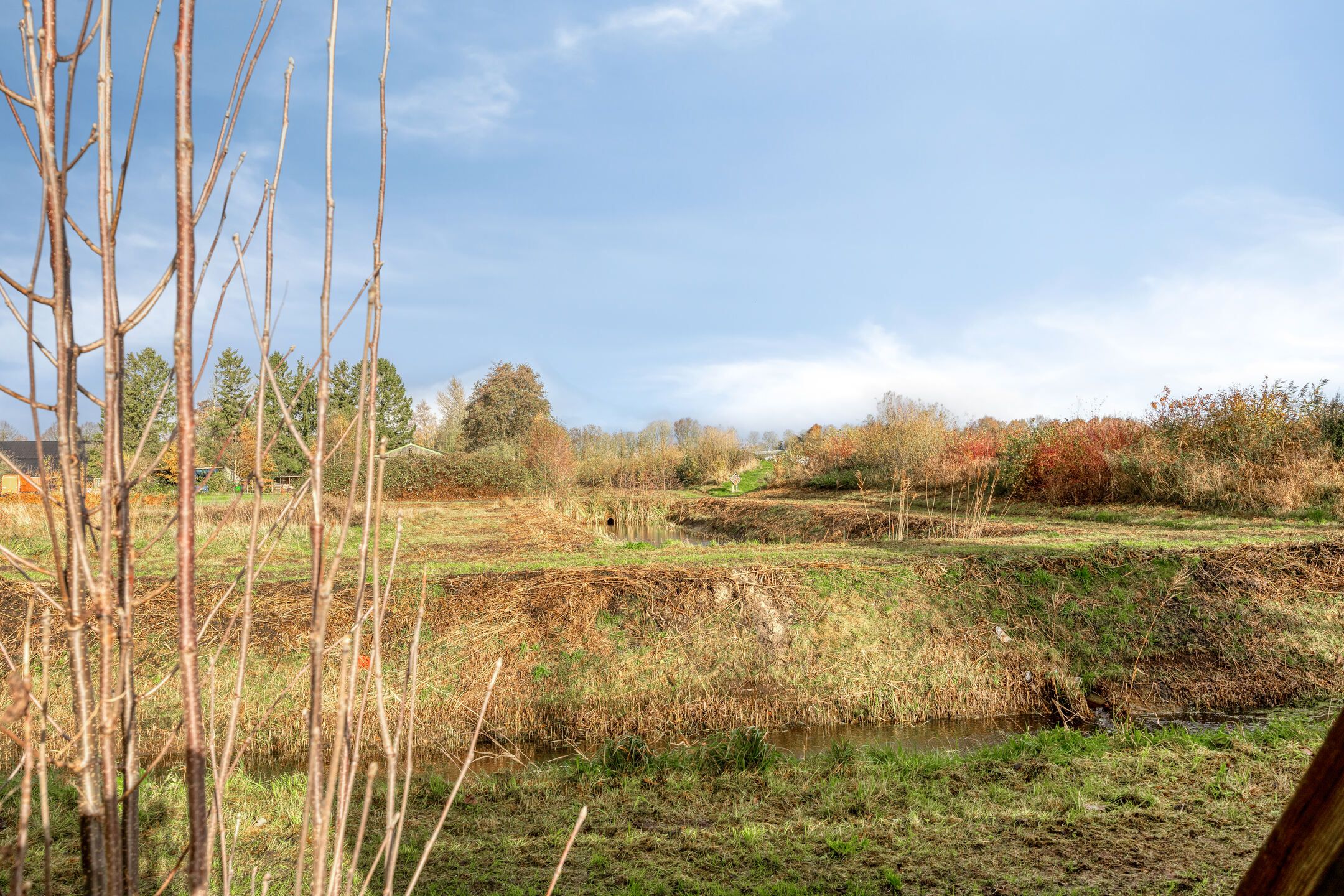 Foto 54 van Burg v Roijenstr West 60