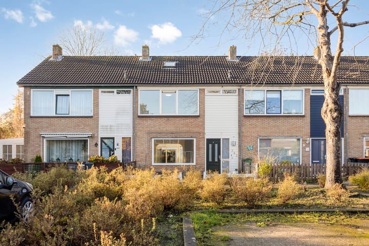 Photo 5 of Hertog Albrechtstraat 382