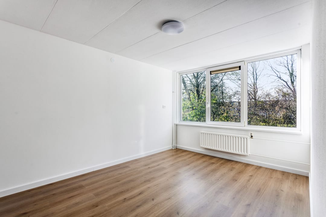 Photo 17 of Hertog Albrechtstraat 382