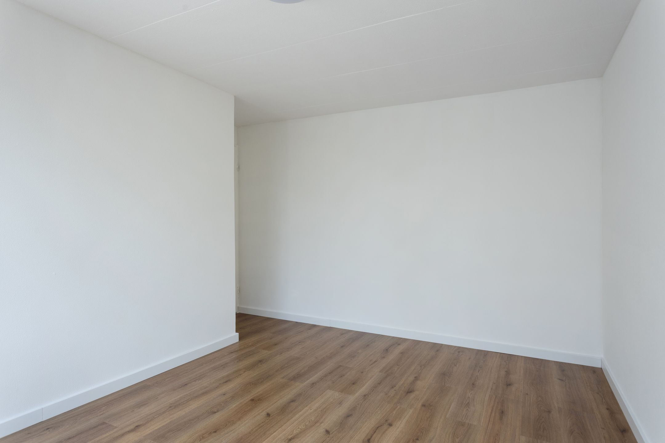 Photo 18 of Hertog Albrechtstraat 382