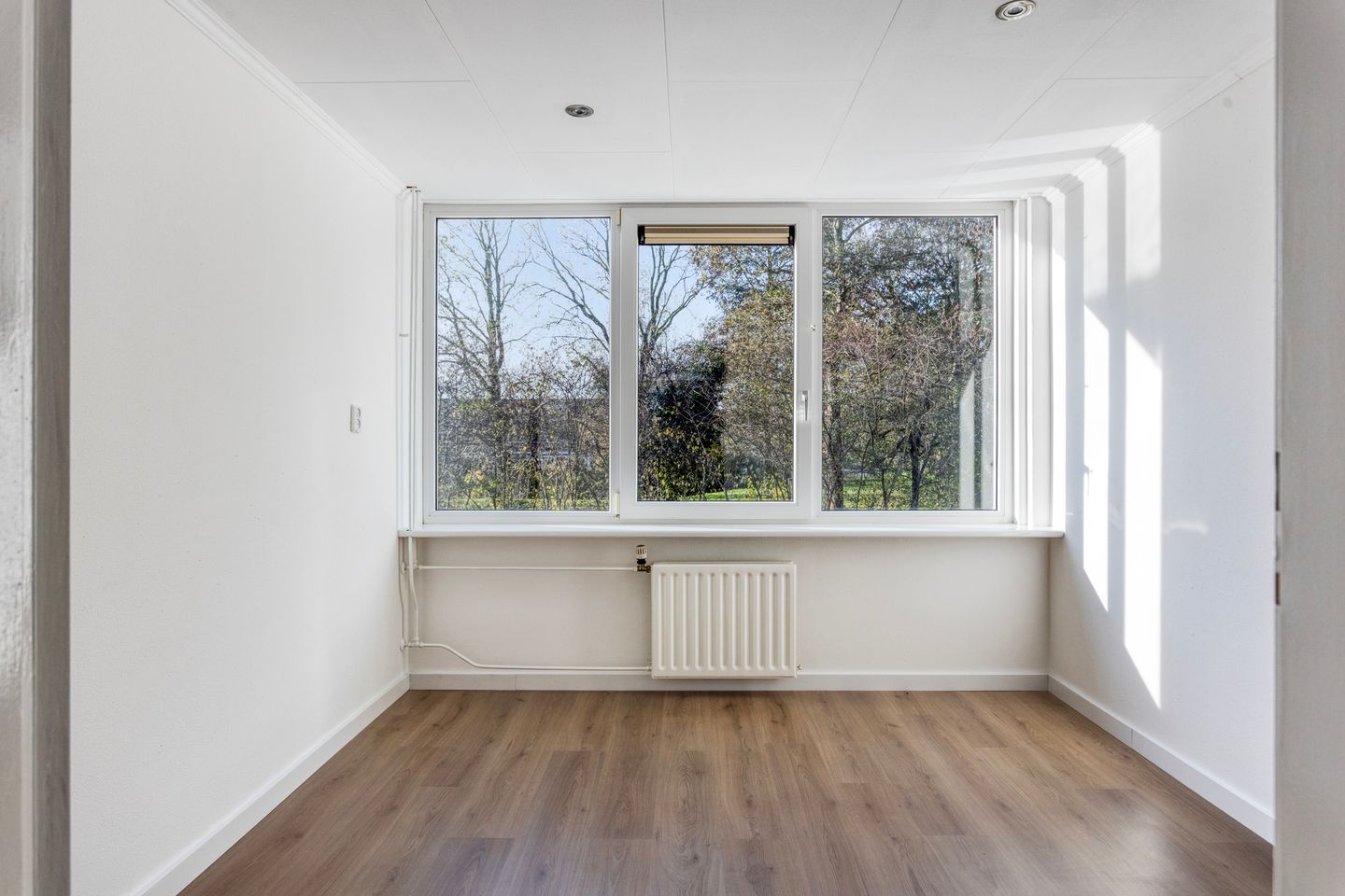 Photo 19 of Hertog Albrechtstraat 382