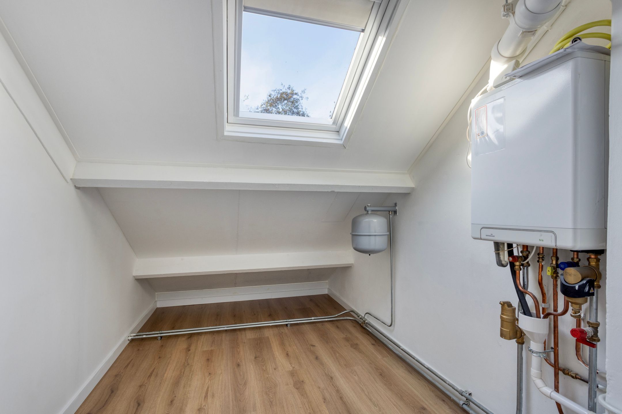 Photo 24 of Hertog Albrechtstraat 382