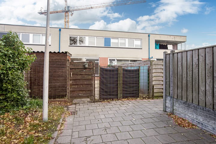 Photo 29 of de Jokse 27