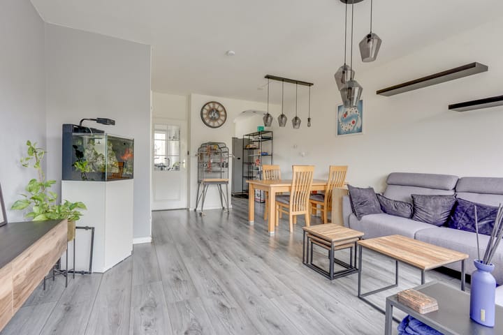 Photo 3 of Antilopespoor 372