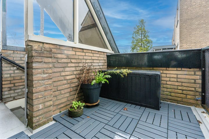 Photo 6 of Antilopespoor 372