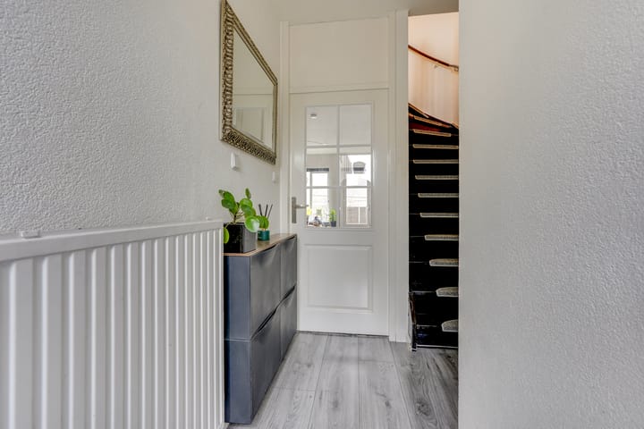 Photo 8 of Antilopespoor 372