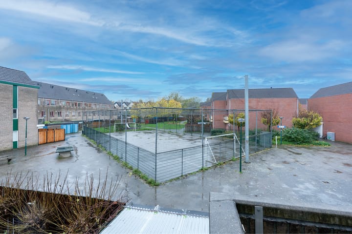 Photo 15 of Antilopespoor 372