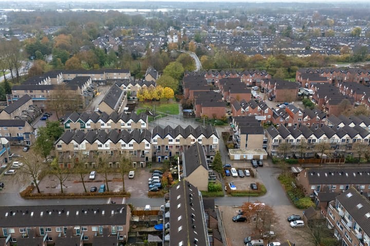 Photo 30 of Antilopespoor 372