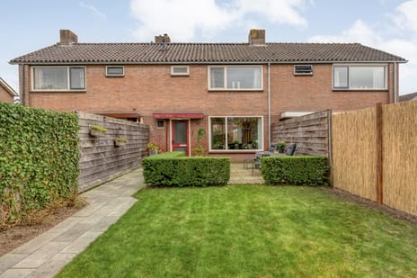 Papaverstraat thumbnail