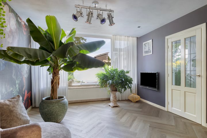 Foto 6 van Groen van Prinstererlaan 31