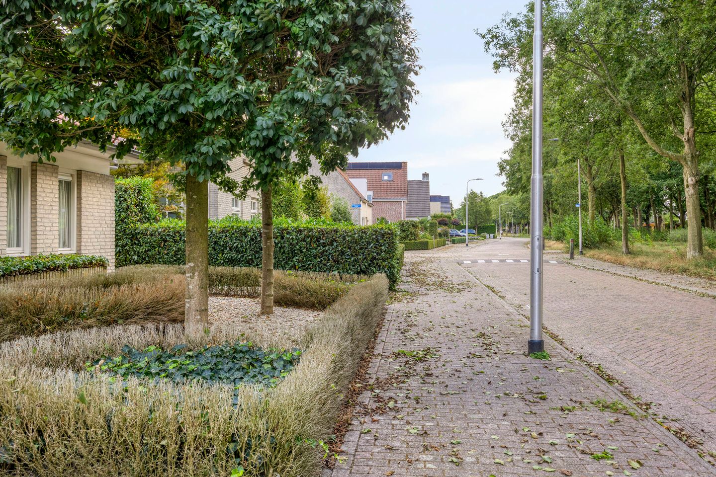 Photo 40 of Luxwoudestraat 15