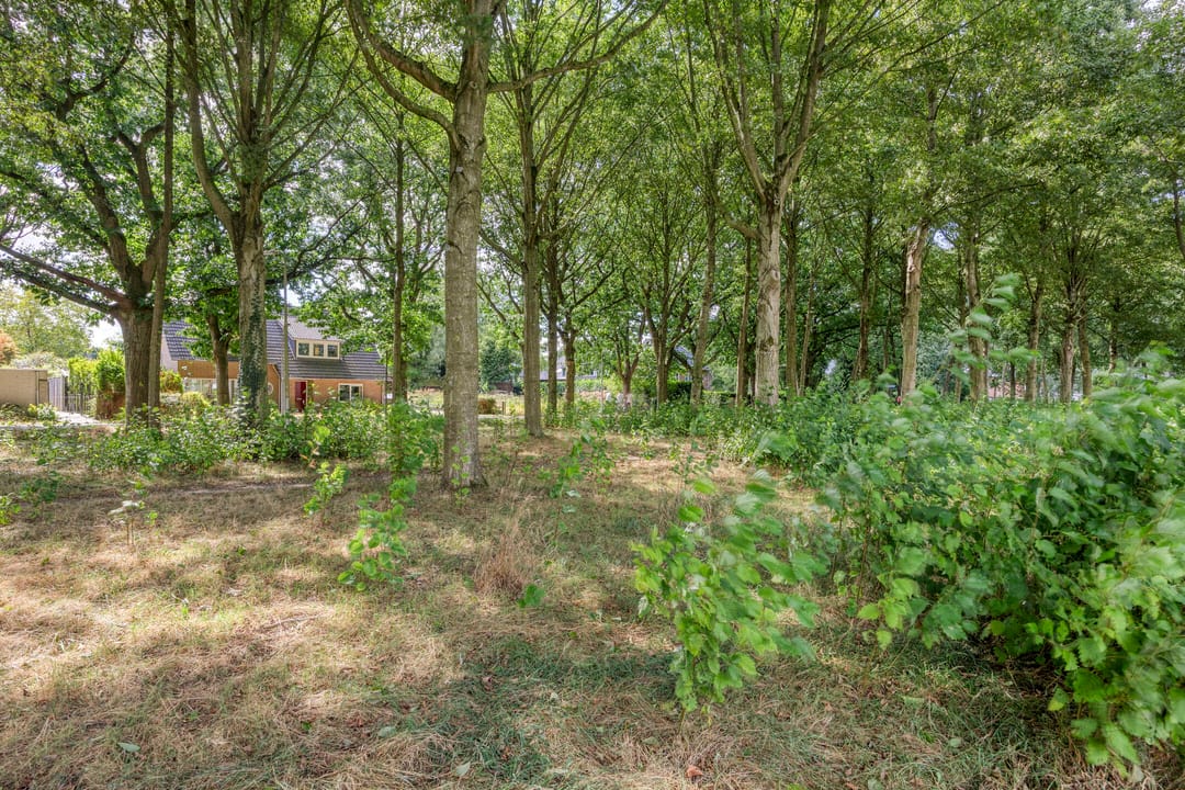 Photo 43 of Luxwoudestraat 15