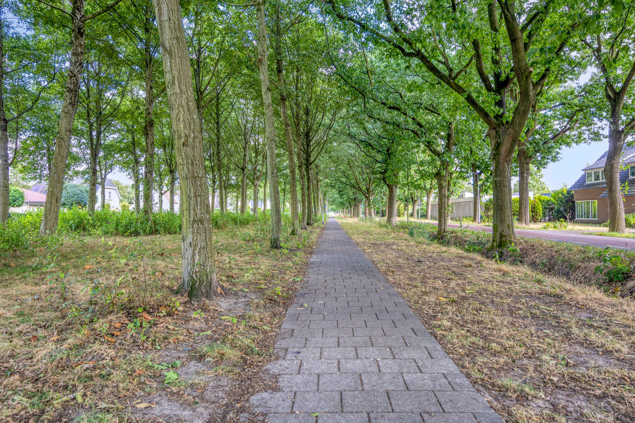 Photo 42 of Luxwoudestraat 15