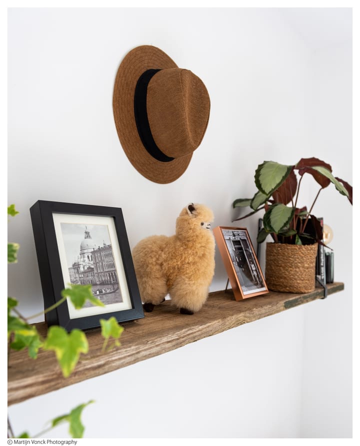 Photo 17 of Harmenjansweg 11-ZW