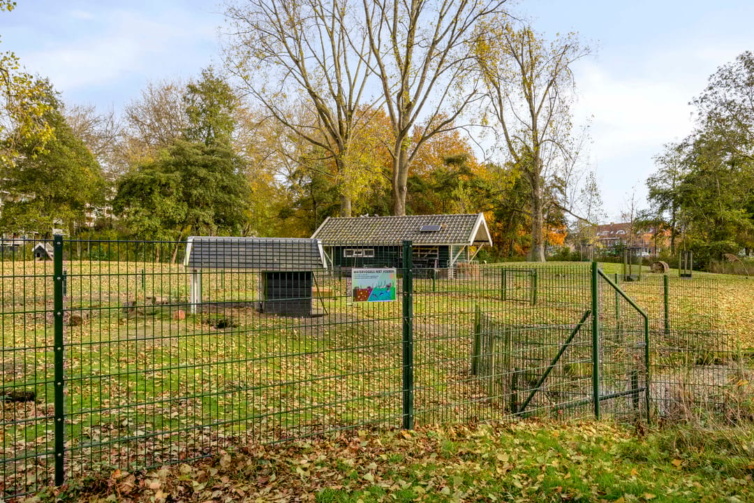 Foto 32 van Cruquiuslaan 16