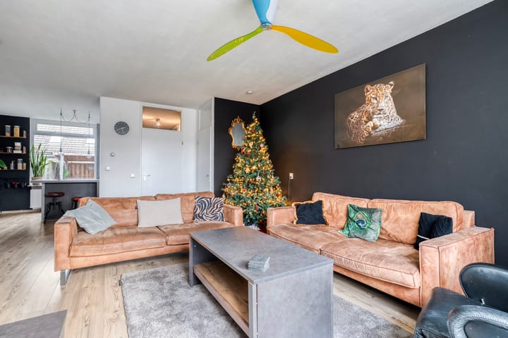 Photo 7 of Donker Curtiusware 32