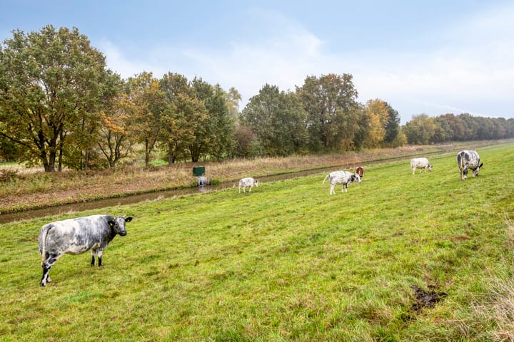 Photo 26 of Ambrosiushof 19