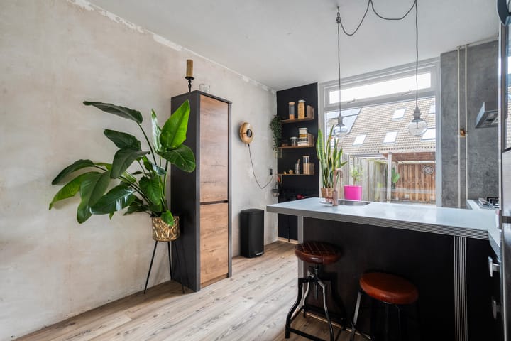 Photo 12 of Donker Curtiusware 32