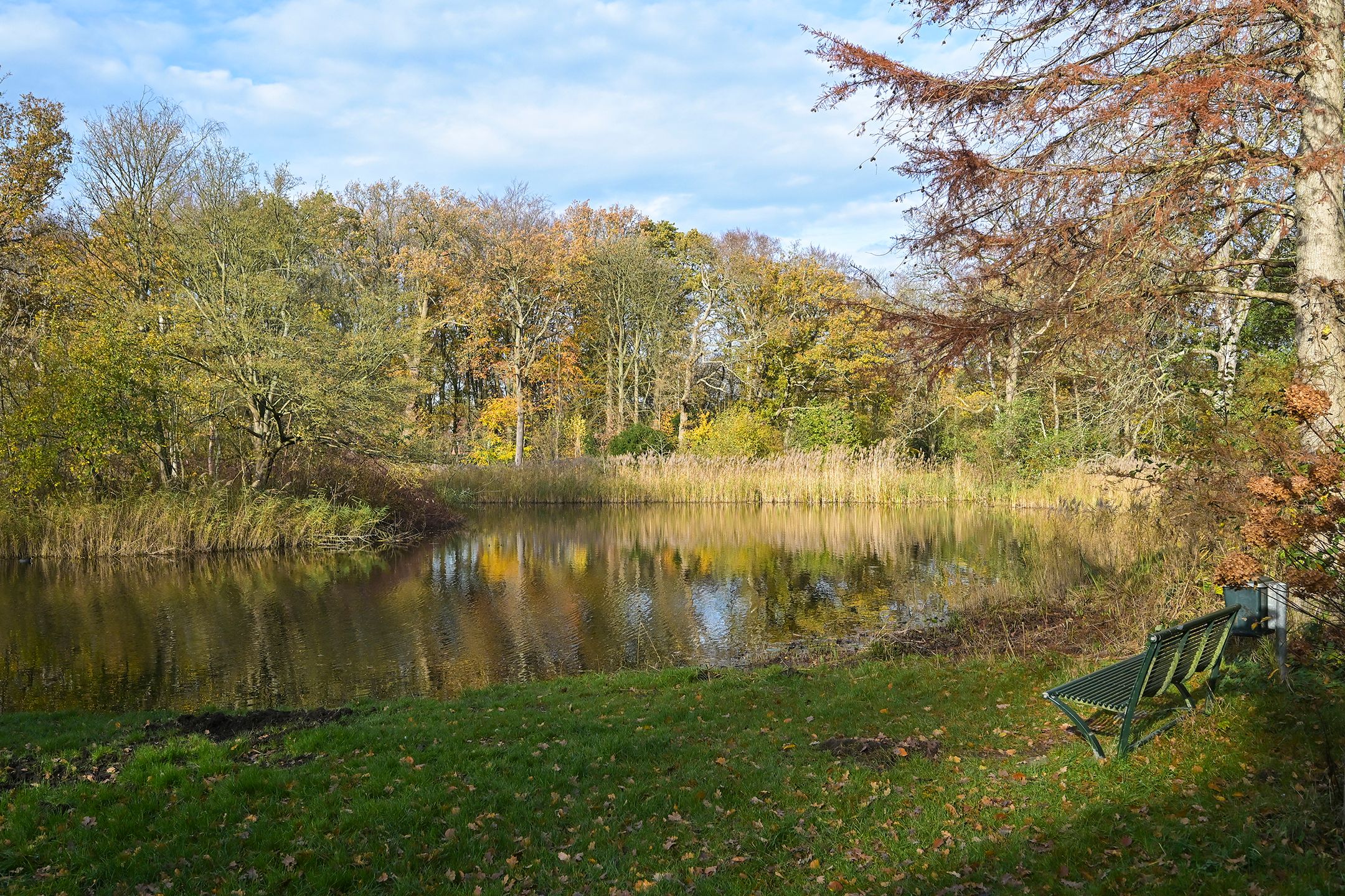 Foto 27 van Landgoed Backershagen 8