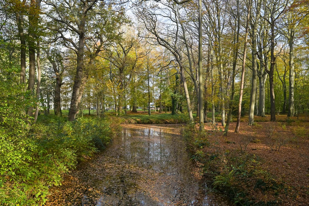 Foto 26 van Landgoed Backershagen 8