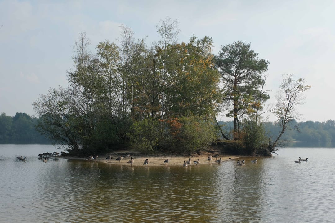 Foto 23 van Valkenlaan 4