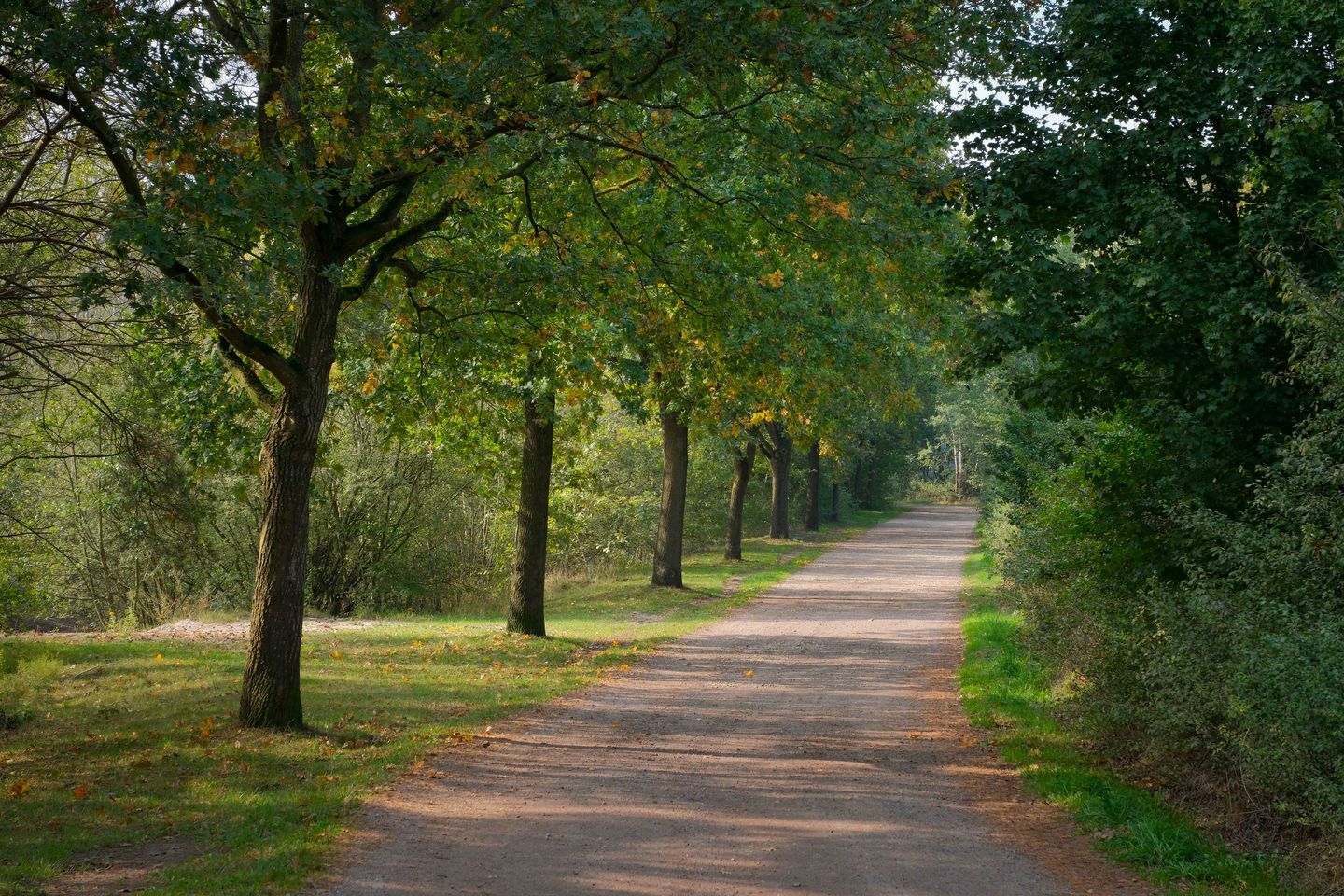 Foto 25 van Valkenlaan 4