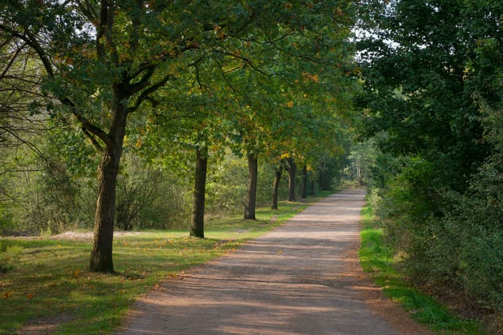 Foto 25 van Valkenlaan 4