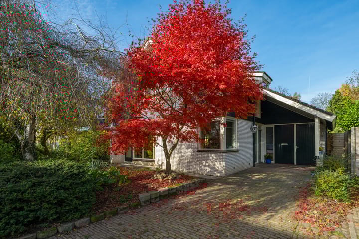 Photo 60 of Molengaarde 28