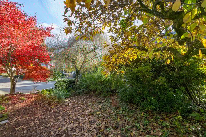 Photo 61 of Molengaarde 28