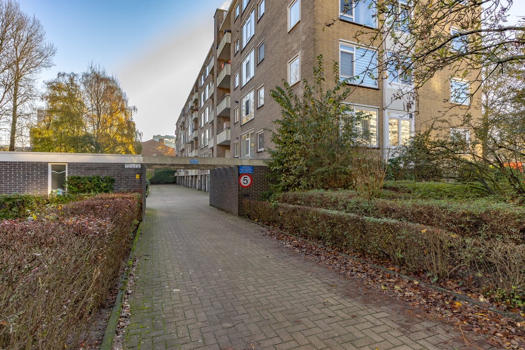 Photo 32 of Henriette Roland Holstln 75