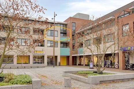 undefined main image